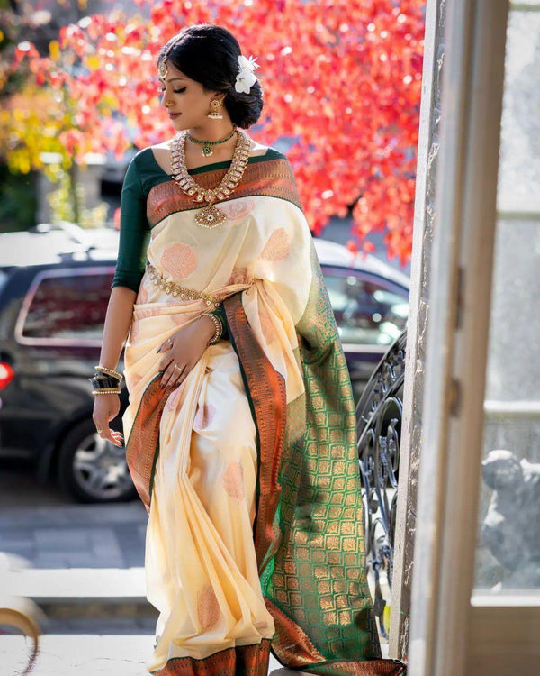 RedPinkViolet Store Banarasi Soft Silk Saree - Intricate Details and Stunning Artistry